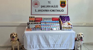 Şanlıurfa'da tütün ve alkol kaçakçılarına darbe