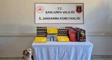 Şanlıurfa'da uyuşturucu operasyonu: 6 gözaltı