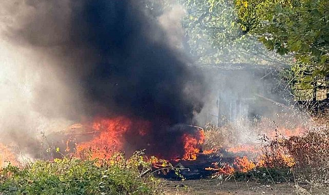 Şarampole uçan otomobil alev topuna döndü