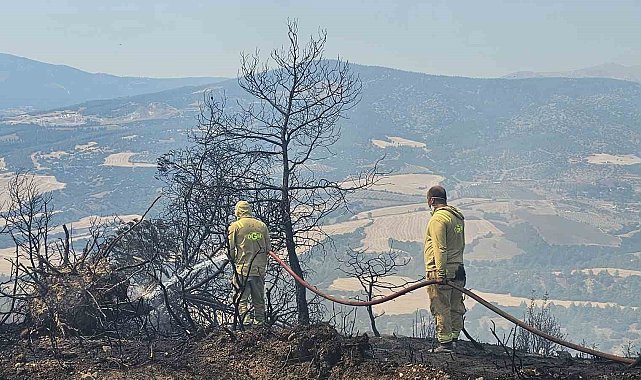 Sarp araziye 2 kilometre hortum çeken ateş savaşçıları yangını söndürdü