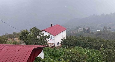 Şehir sıcaktan kavruldu, yaylada yağmur serinletti