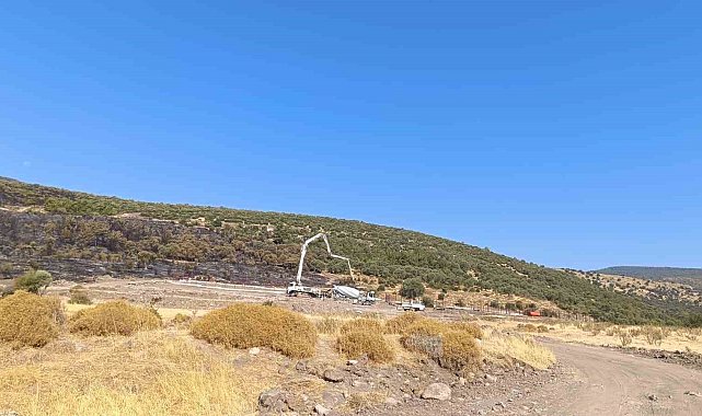 Şehzadeler'deki orman yangınıyla ilgili 1 kişi tutuklandı