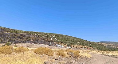 Şehzadeler'deki orman yangınıyla ilgili 1 kişi tutuklandı