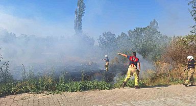 Selçuk'ta sazlık alanda yangın paniği