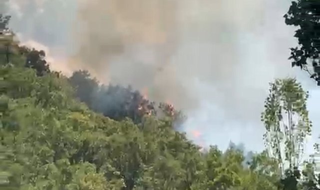 Şemdinli'de orman yangını