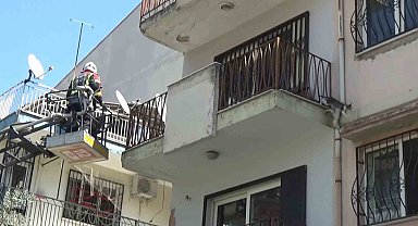 Sevimli kediyi kurtarmak için tüm ekipler seferber oldu, o kurtarılacağı anda atlayıp gitti
