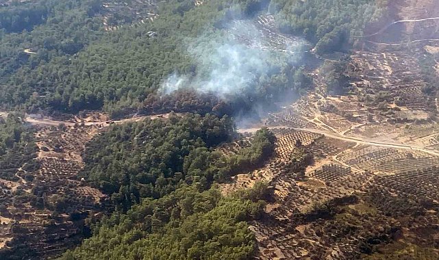 Seydikemer orman yangını kısa sürede kontrol altına alındı