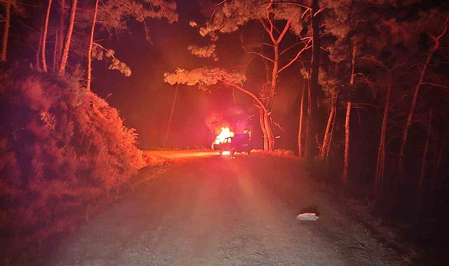 Seyir halinde alev topuna döndü, yangın ormana sıçramadan söndürüldü