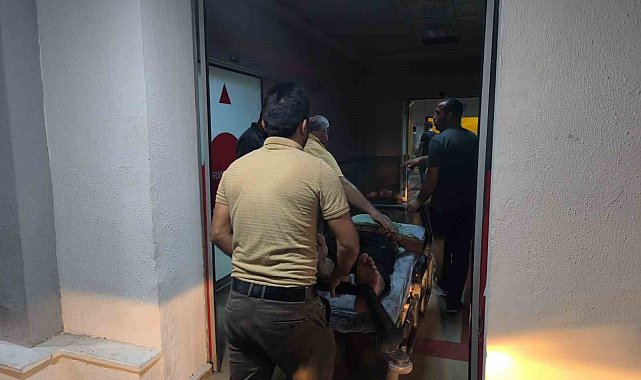 Siirt'te ağaçtan düşen adam yaralandı