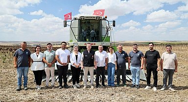 Silivri'de yaklaşık bin 500 dekar alanda ayçiçeği hasadı başladı