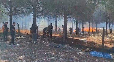 Silivri'de yangın ormanlık alana sıçramadan söndürüldü