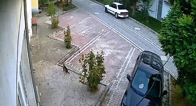 Sındırgı'daki depremi hissederek hızla uzaklaşan kedi kameralara yansıdı