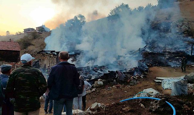Sinop'ta çıkan yangında 2 ev, 2 ahır, 1 samanlık küle döndü