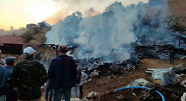 Sinop'ta çıkan yangında 2 ev, 2 ahır, 1 samanlık küle döndü
