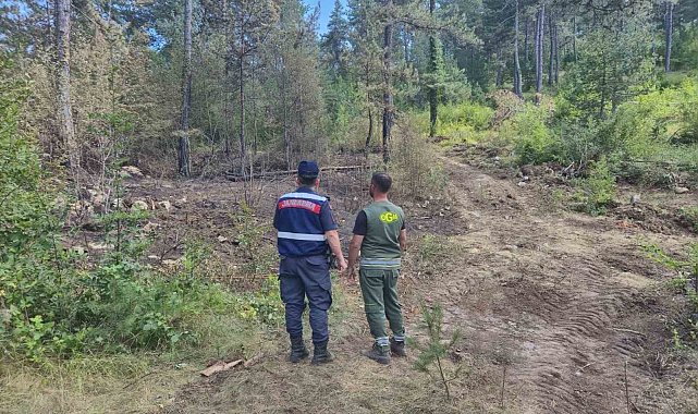 Sinop'ta jandarma orman yangınlarına karşı teyakkuzda