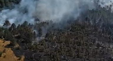 Sinop'ta orman yangını: Köy tahliye edildi