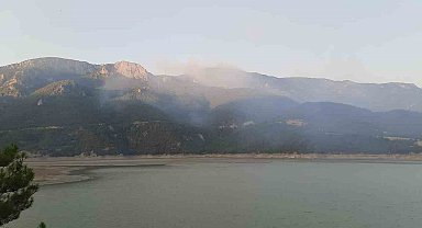 Sinop'taki orman yangınına havadan ve karadan müdahale sürüyor