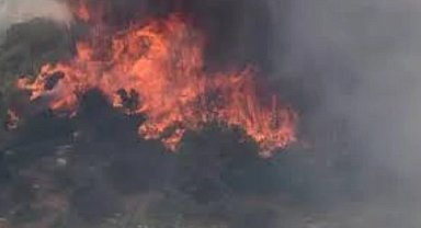 Şirin Çoğal Keşan'daki yangınla ilgili açıklama