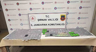 Şırnak'ta 8 milyon lira değerinde gümrük kaçağı ürünler ele geçirildi