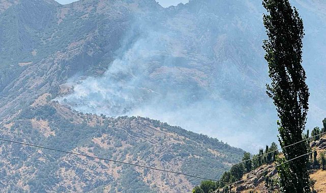 Şırnak'ta orman yangını: Alevler kontrol altına alınamıyor