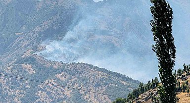 Şırnak'ta orman yangını: Alevler kontrol altına alınamıyor
