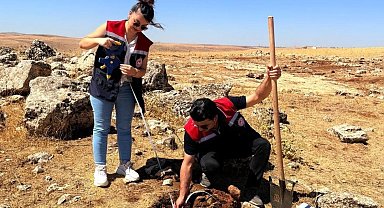 Şırnak'ta tarımsal üretime yön verecek etüt çalışmaları başladı