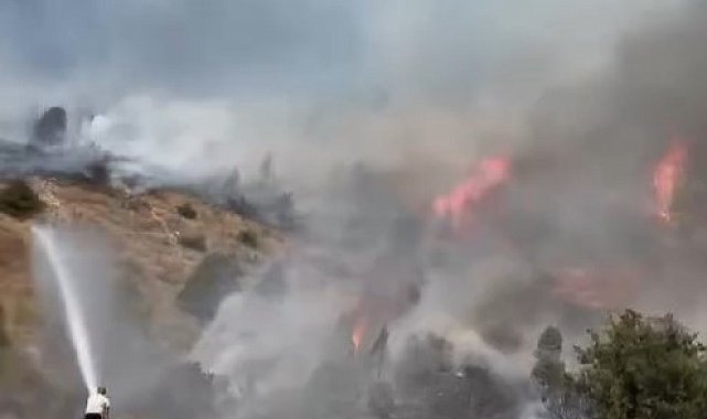 Sivas'ta ağaçlık alanda yangın çıktı, ekiplerin müdahalesi sürüyor