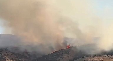 Sivas'ta çıkan örtü yangınına müdahale sürüyor