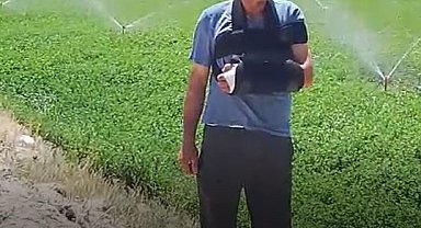 Sivas'ta sulama desteğiyle ekili araziler genişletiliyor