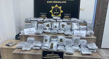 Siverek'te 28 kilo skunk ele geçirildi: 2 tutuklama