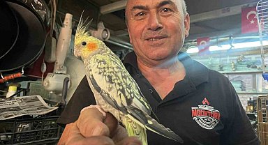 Soba ve mangal ustası Mustafa Göktürk'ün kuş sevgisi