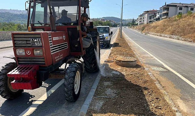 Söğüt'te refüjler ve yeşil alanlar yenileniyor