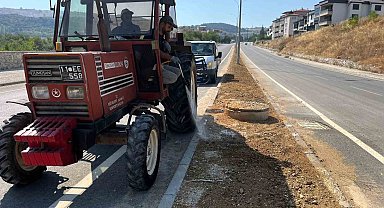 Söğüt'te refüjler ve yeşil alanlar yenileniyor
