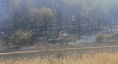 Soma yangınında bir mahalle boşaltındı, bir kişi de gözaltına alındı