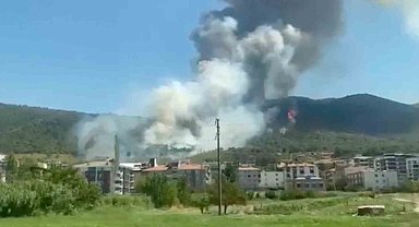 Soma'da orman yangını