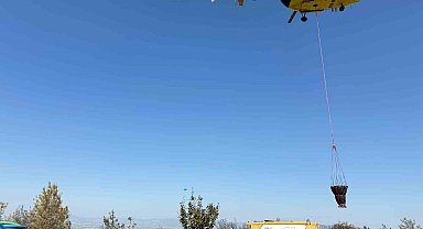 Soma'da orman yangınıyla mücadele devam ediyor