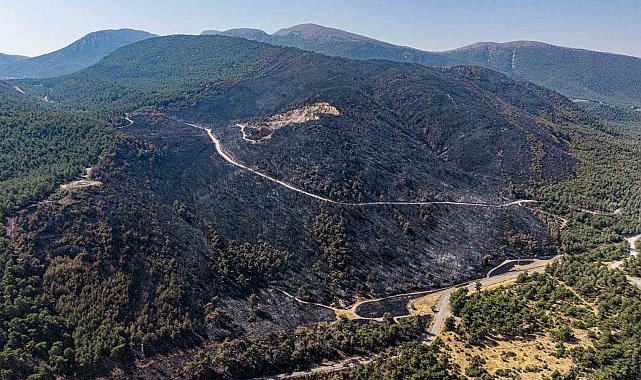 Soma'daki orman yangınında soğutma çalışmaları sürüyor