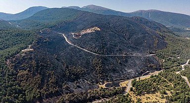 Soma'daki orman yangınında soğutma çalışmaları sürüyor