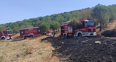Susurluk'ta orman yangını kontrol altına alındı