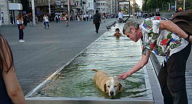 Taksim'de sıcak havadan bunalan çocuk ve köpek süs havuzunda serinledi