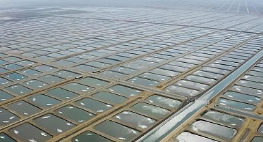 Tarıma Dayalı İhtisas Su Ürünleri Organize Sanayi Bölgesinde ön talep süreci başladı