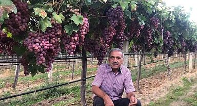 TARİŞ'in açıkladığı üzüm fiyatına tepki