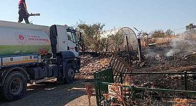 Tarlada başlayan yangın rüzgarın etkisiyle seraya sıçradı