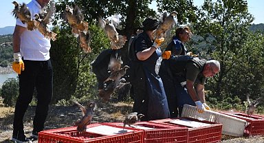 Tavşanlı'da 300 kınalı keklik doğaya salındı