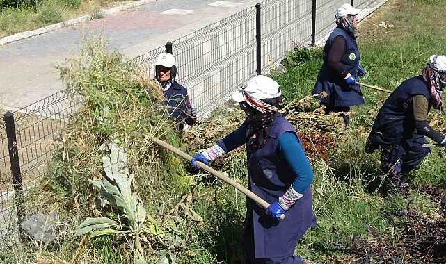 Tavşanlı'da kadın işçilerin sıcağa karşı mücadelesi