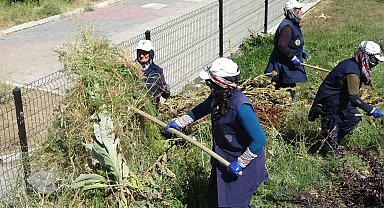 Tavşanlı'da kadın işçilerin sıcağa karşı mücadelesi