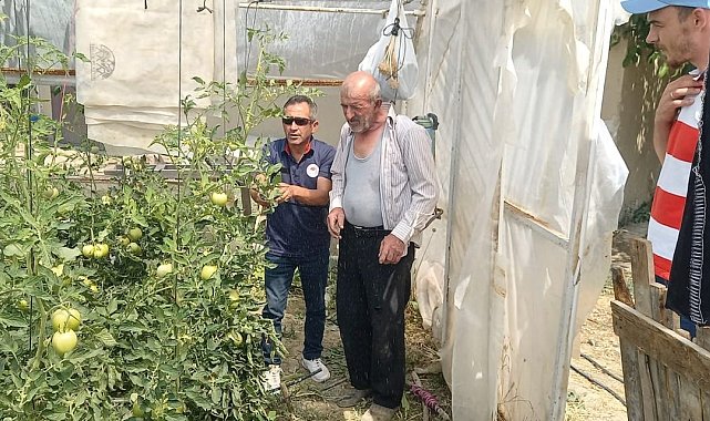 Tavşanlı'da seralarda bitki hastalık ve zararlı kontrolleri