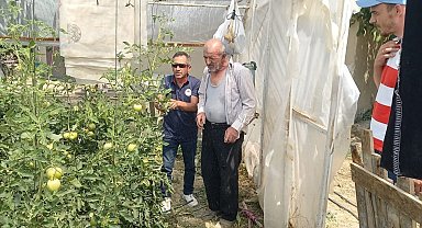 Tavşanlı'da seralarda bitki hastalık ve zararlı kontrolleri