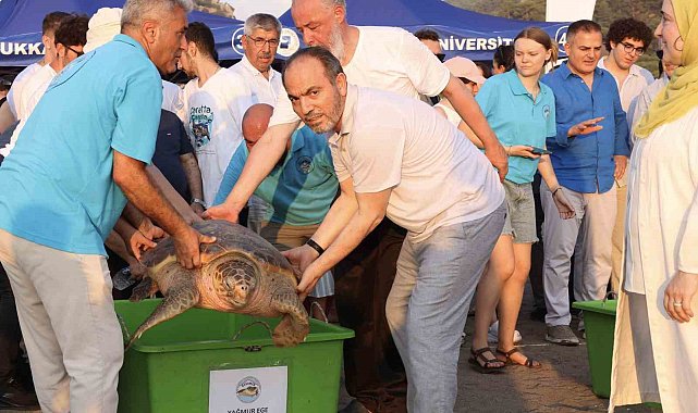 Tedavi edilen caretta carettaların mavi yolculuğu ilk kez yerli uydu ile izlenecek