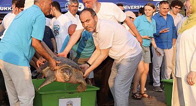 Tedavi edilen caretta carettaların mavi yolculuğu ilk kez yerli uydu ile izlenecek